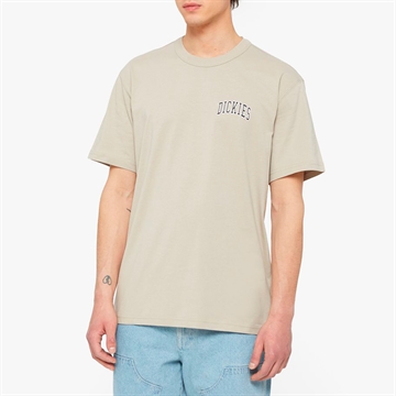 Dickies T-shirt Aitkin Sandstone